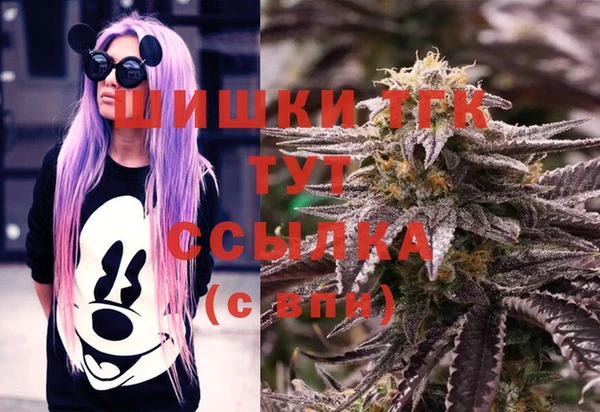 твердый Алзамай