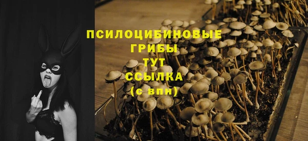 мескалин Пестово