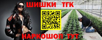мдпв Рыбинск