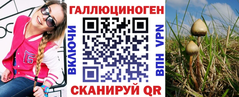 даркнет наркотические препараты Сибай Псилоцибиновые грибы Cubensis сколько стоит