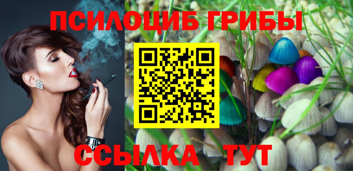 Галлюциногенные грибы прущие грибы Сибай